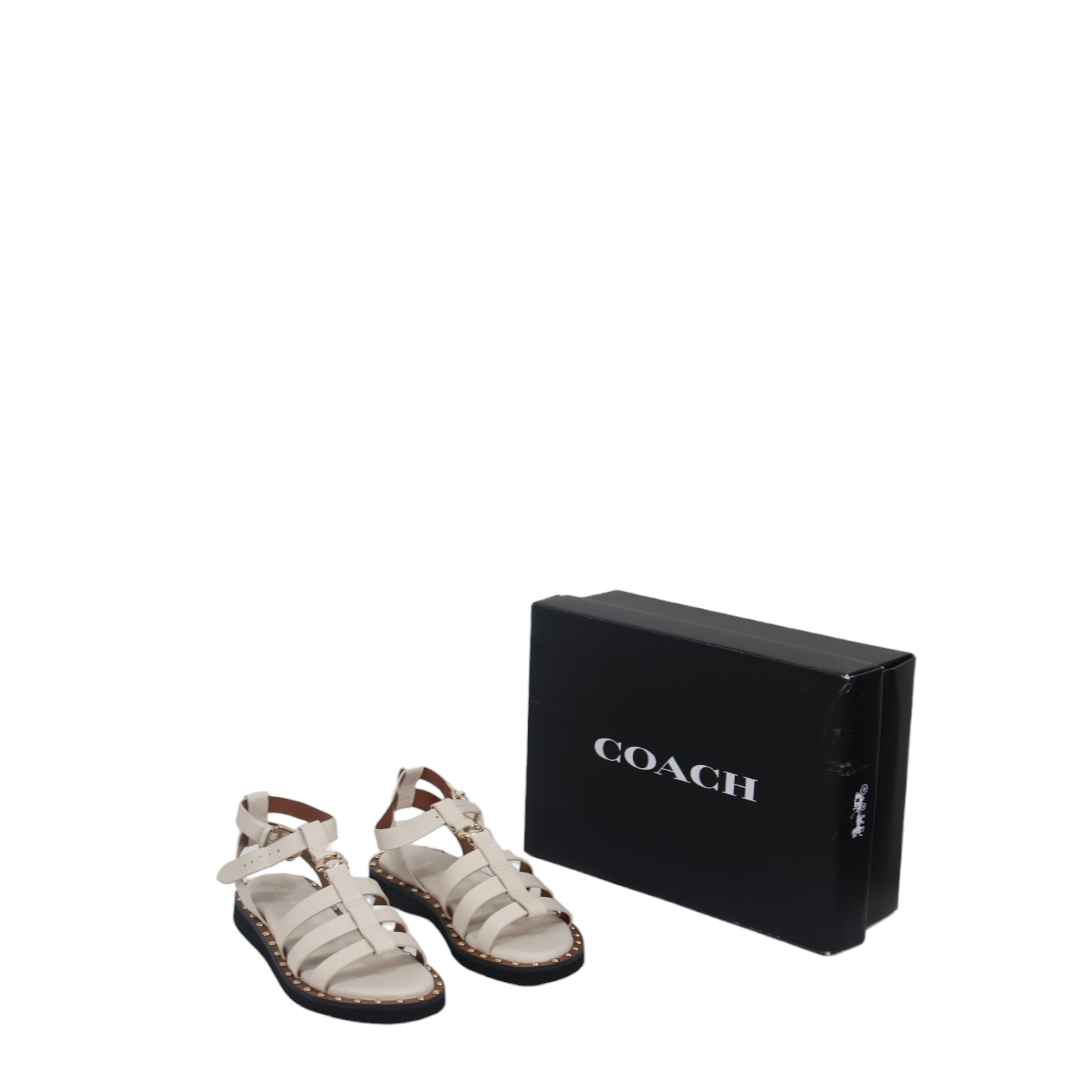 COACH Women's Giselle Studded Gladiator Fisherman Sandals