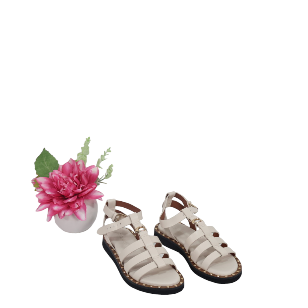 COACH Women's Giselle Studded Gladiator Fisherman Sandals